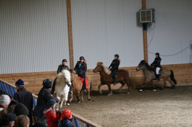 Fjölskyldudagur Æskulýðsnefndar 2015