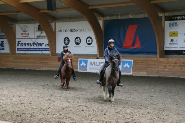 Fjölskyldudagur Æskulýðsnefndar 2015