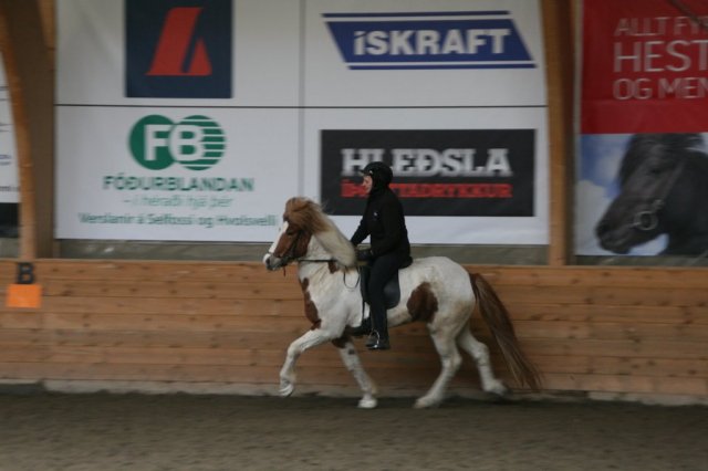 Fjölskyldudagur Æskulýðsnefndar 2015