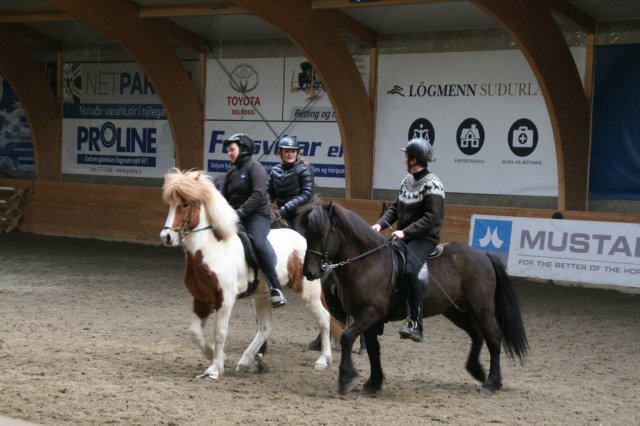 Fjölskyldudagur Æskulýðsnefndar 2015