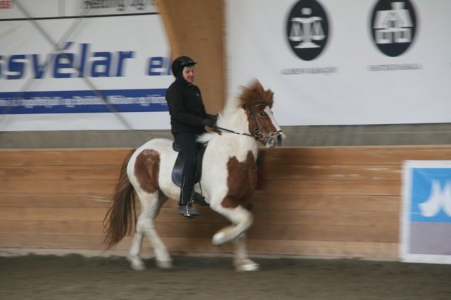 Fjölskyldudagur Æskulýðsnefndar 2015