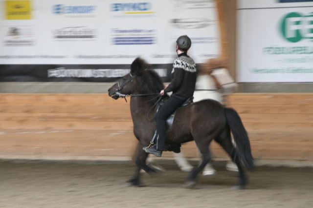 Fjölskyldudagur Æskulýðsnefndar 2015