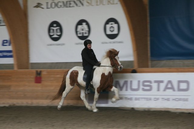 Fjölskyldudagur Æskulýðsnefndar 2015