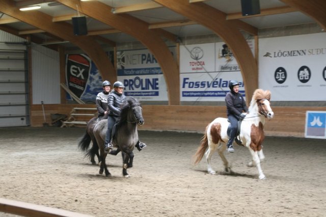 Fjölskyldudagur Æskulýðsnefndar 2015