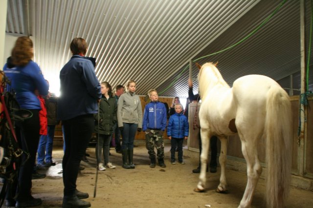 Æskulýðsnefnd-Heimsókn Dana frá Fjóni 2014