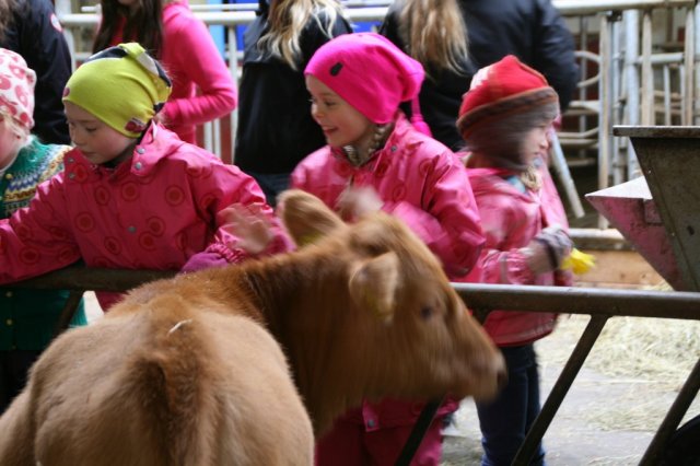 Óvissuferð Æskulýðsnefndar 1.júní 2013