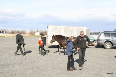 Fjölskyldudagur 2012