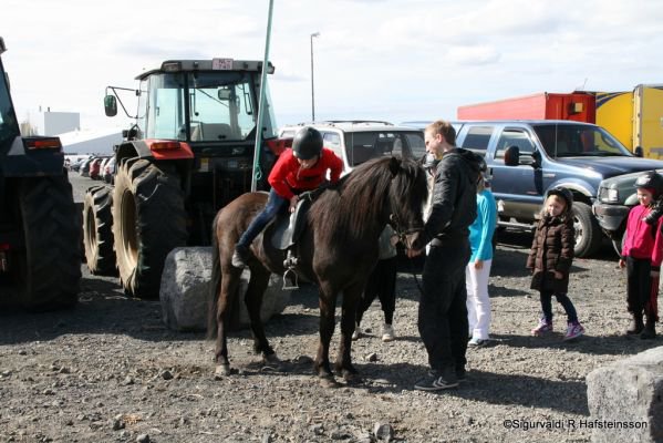 Sunnlenskir sveitadagar 2011