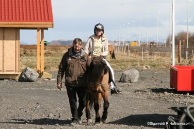 Sunnlenskir sveitadagar 2011