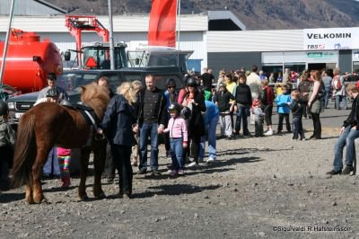 Sunnlenskir sveitadagar 2011