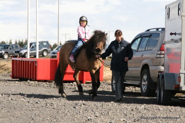 Sunnlenskir sveitadagar 2011