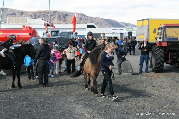 Sunnlenskir sveitadagar 2011