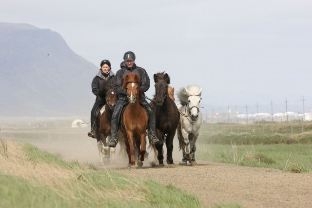 Baðtúr 2008