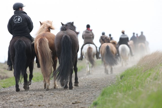 Baðtúr 2008