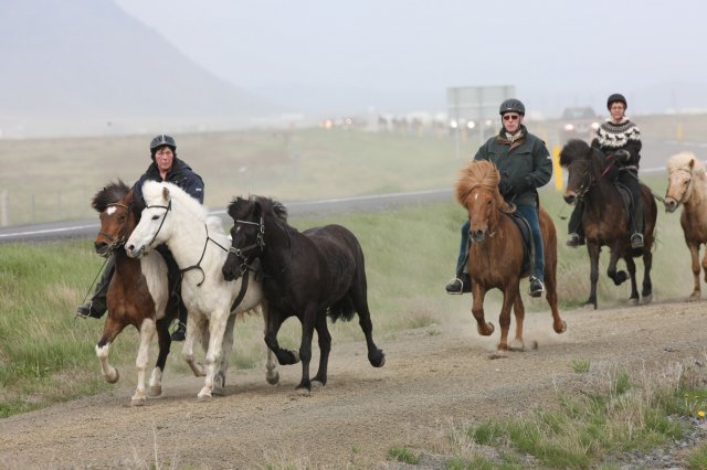 Baðtúr 2008