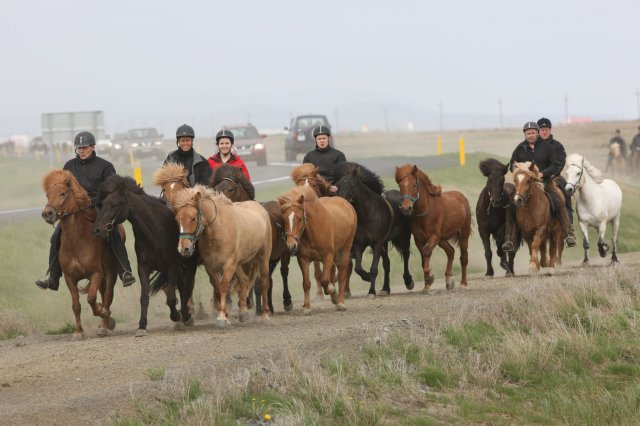 Baðtúr 2008