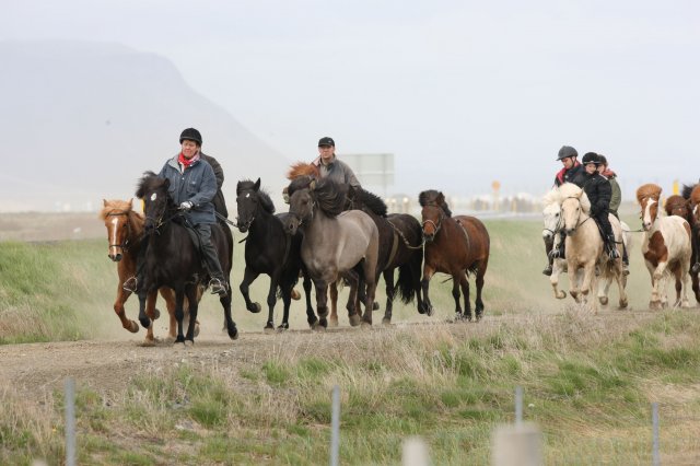 Baðtúr 2008