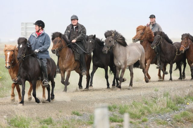 Baðtúr 2008