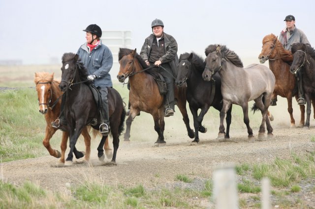 Baðtúr 2008