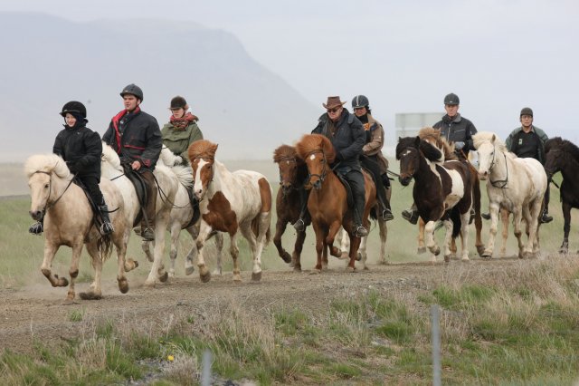 Baðtúr 2008