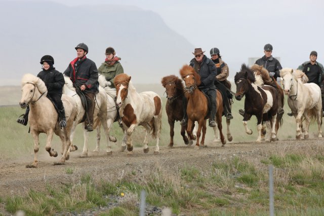 Baðtúr 2008