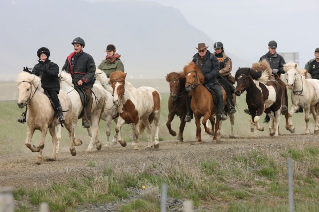 Baðtúr 2008