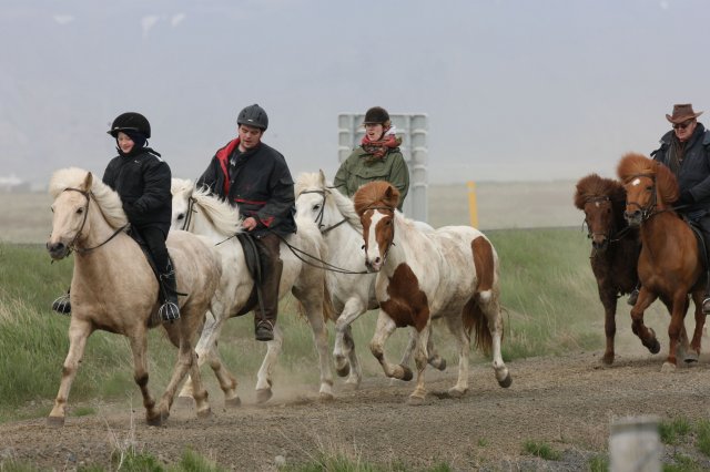 Baðtúr 2008