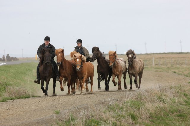 Baðtúr 2008