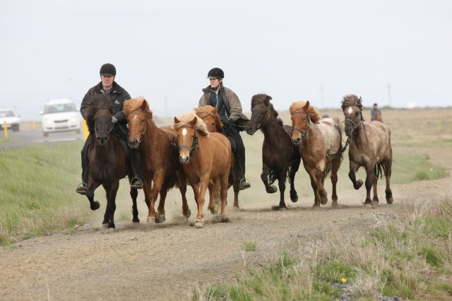 Baðtúr 2008