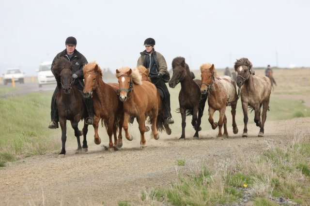 Baðtúr 2008