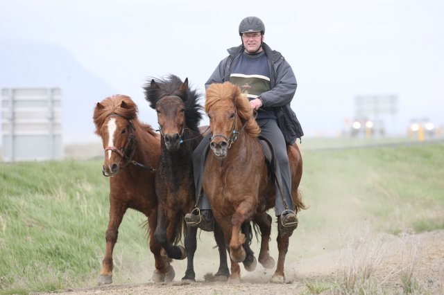 Baðtúr 2008