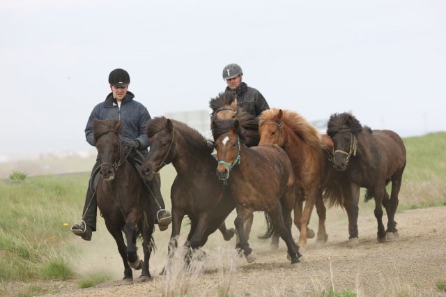 Baðtúr 2008