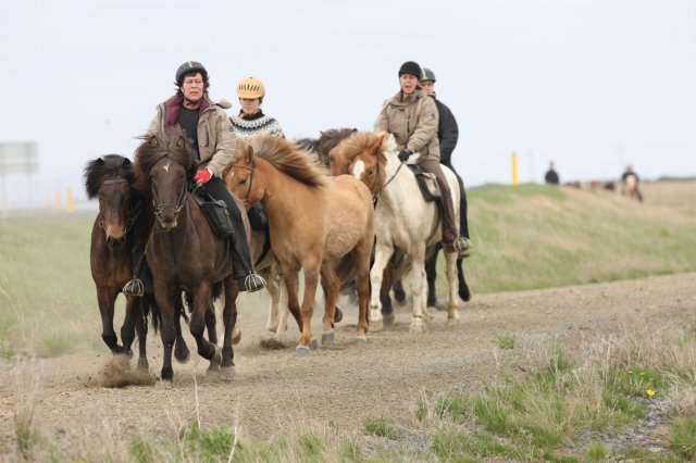 Baðtúr 2008