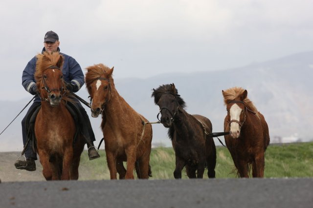 Baðtúr 2008