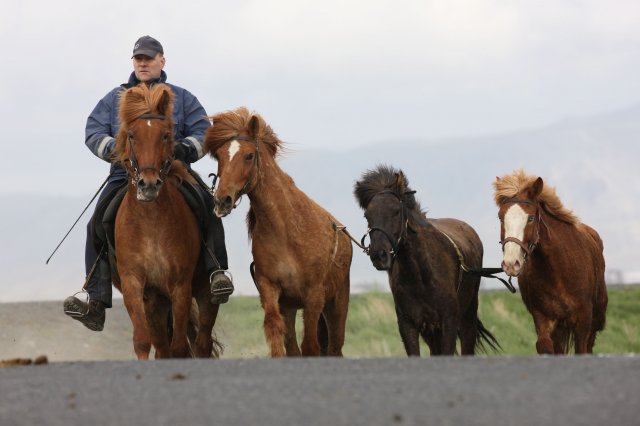 Baðtúr 2008