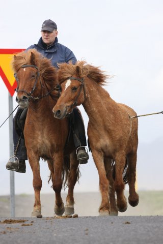 Baðtúr 2008