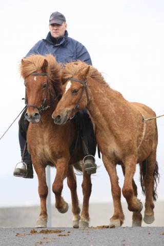 Baðtúr 2008