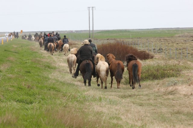 Baðtúr 2008