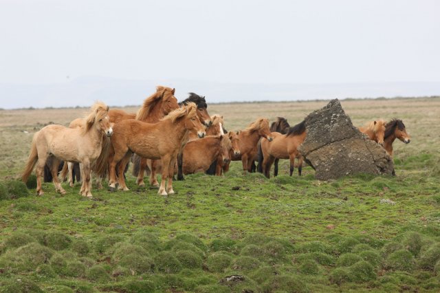 Baðtúr 2008