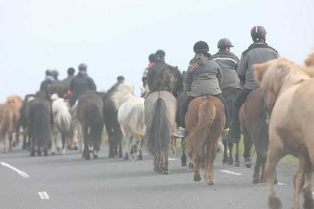 Baðtúr 2008