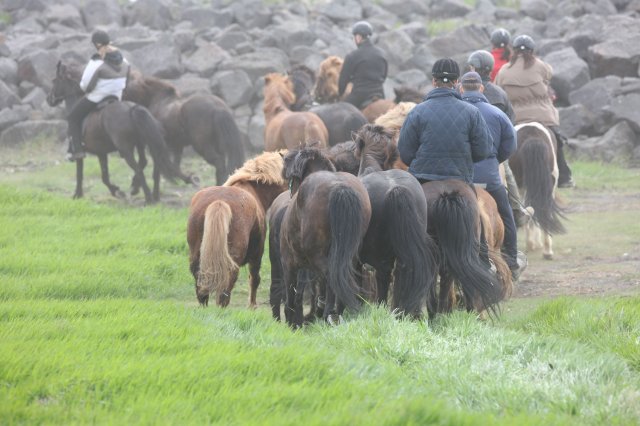 Baðtúr 2008