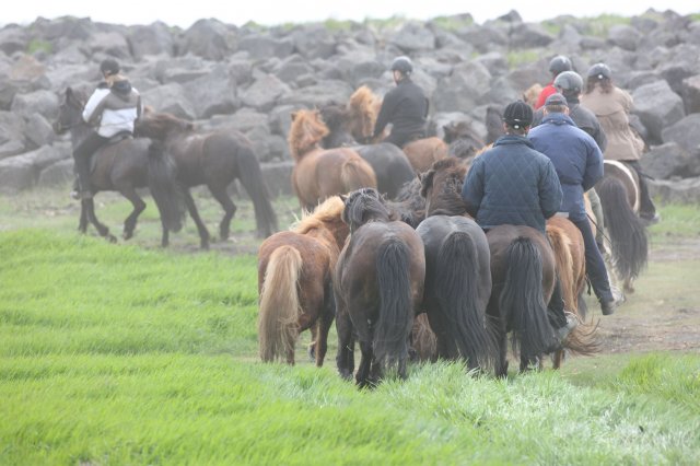 Baðtúr 2008