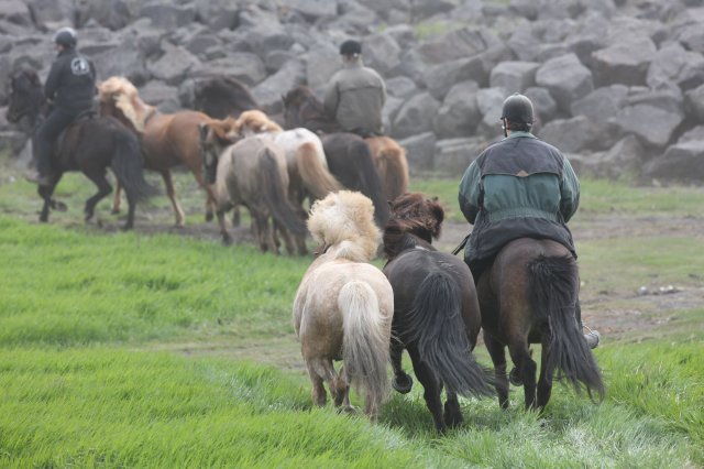 Baðtúr 2008