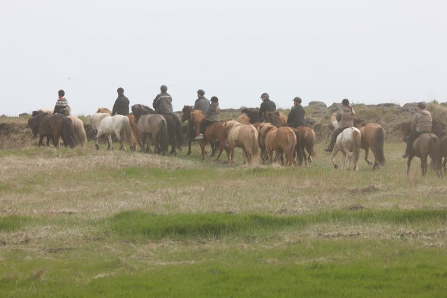 Baðtúr 2008