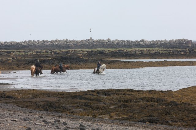 Baðtúr 2008