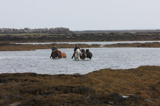 Baðtúr 2008