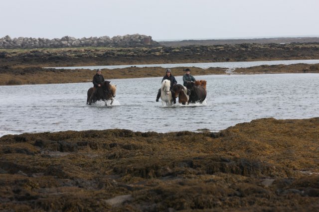 Baðtúr 2008