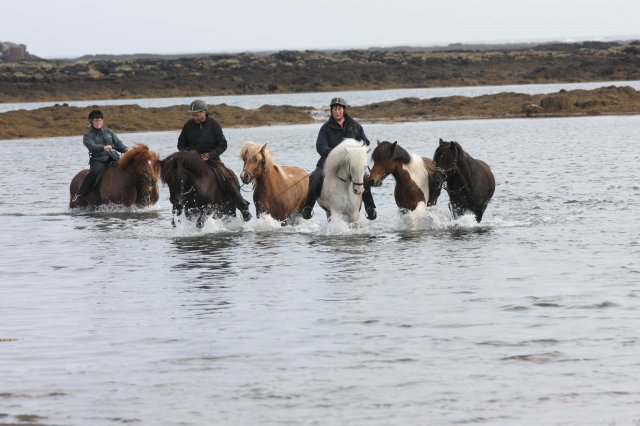 Baðtúr 2008