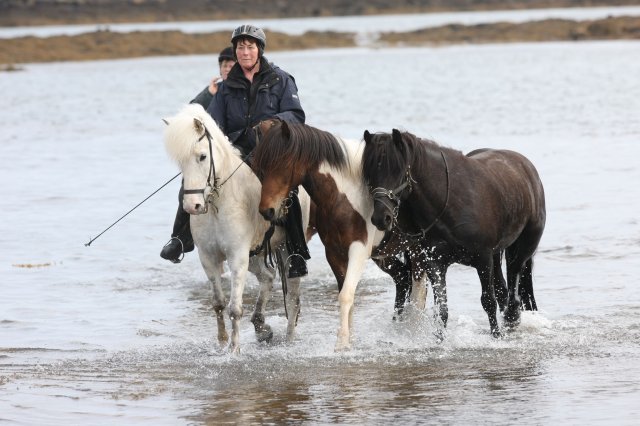 Baðtúr 2008