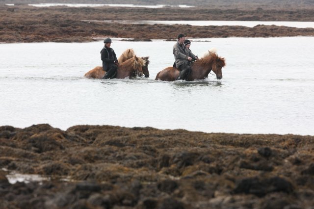 Baðtúr 2008